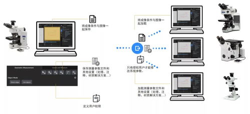 智能模塊驅動高效可靠 奧林巴斯顯微鏡圖像處理軟件Preciv AI升級引領精準新高度